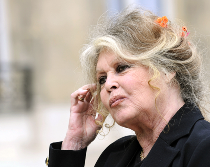 Hospitalizirana glumica Brigitte Bardot, stanje zabrinjavajuće