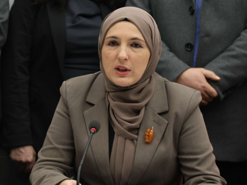 Hota - Muminović: Veliki pritisak da se digitalni konkurs sruši