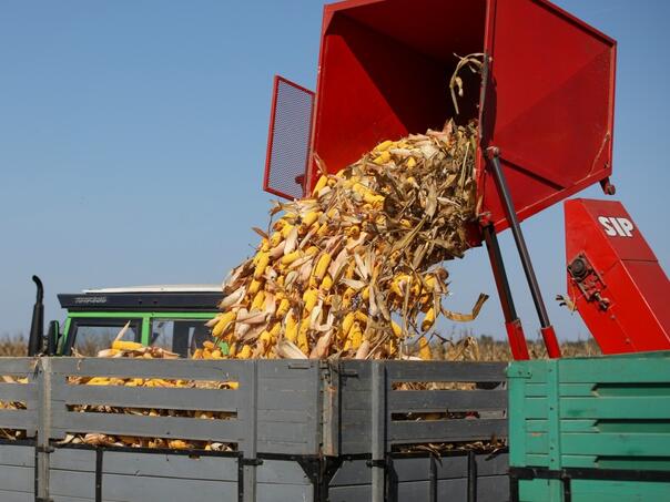 Hrvat u Italiji poginuo tokom istovara kukuruza