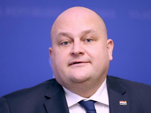 Hrvatska je spremna kupiti Naftnu industriju Srbije, ovo je dodatni izazov i za BiH