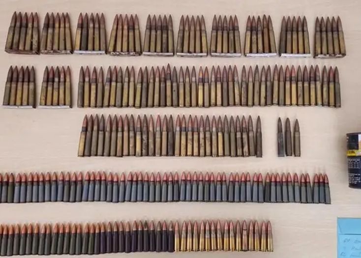 Hrvatska: Kod starice (81) policija pronašla arsenal oružja