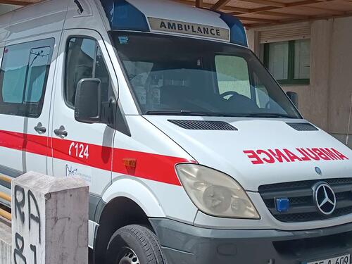Hrvatska: Stablo palo na trogodišnje dijete i usmrtilo ga