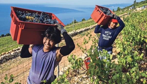 Hrvatska: Strani radnici se boje prijavljivati nepravilnosti