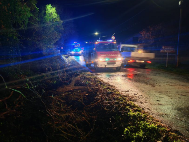 Hrvatska: Vjetar čupao stabla, hiljade domaćinstava bez struje