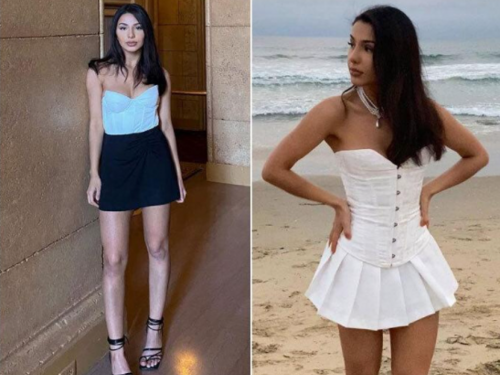 ICE bespravno uhapsio studenticu Elminu: Puštena intervencijom Mamdanija