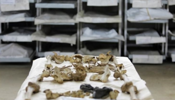 Identifikovani posmrtni ostaci majke i njene sedmogodišnje kćerke koje su ubijene 1992. kod Bratunca