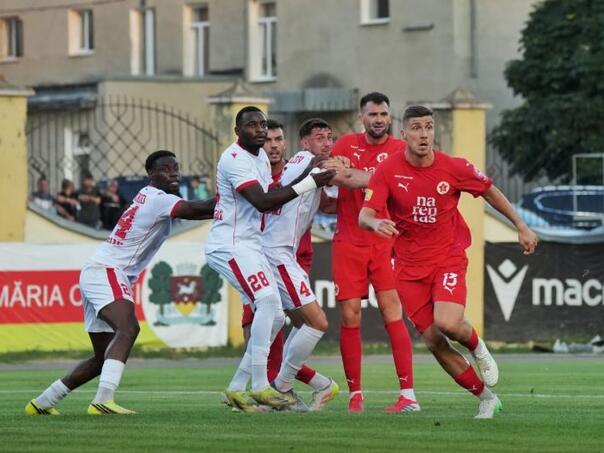 Inat silan mostarski