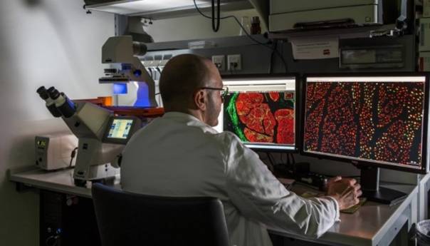 'Inclisiran' novi revolucionarni lijek za snižavanje holesterola u krvi