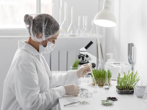 Industrije u usponu: Gdje uložiti i koje od njih donose najbrži povrat novca u 2025.?