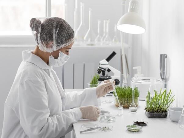 Industrije u usponu: Gdje uložiti i koje od njih donose najbrži povrat novca u 2025.?