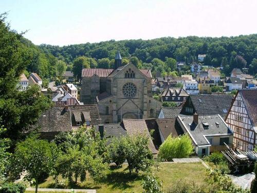 Influenserica preselila u Njemačku pa zažalila zbog toga