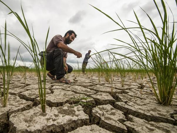 Iran pred nestašicom vode: Razmjera suše vidljiva iz svemira