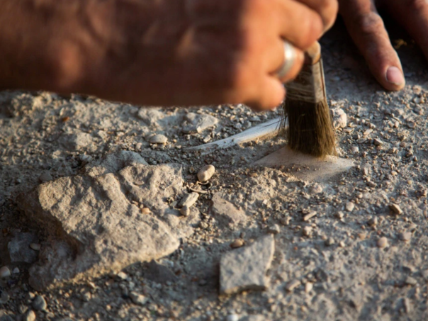 Iskopan izgubljeni grad kraljeva u Hrvatskoj
