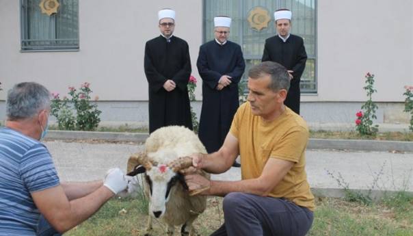 Ispred Medrese žrtvovan kurban pred Karađoz-begovu dušu