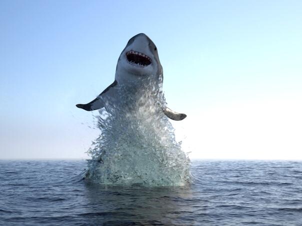 Istraživanje pokazalo: Morski psi u Brazilu pozitivni na kokain