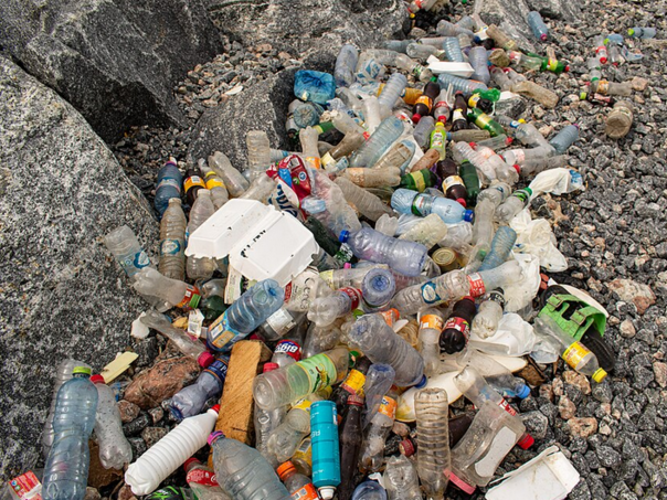 Istraživanje upozorava: Plastika sve veća prijetnja ljudskom zdravlju