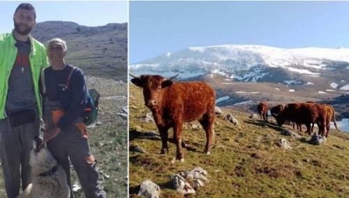 IT stručnjak vratio se u BiH, otvorio farmu na Bjelašnici