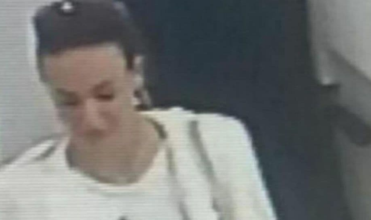 Ivana iz BiH izvršilac milionske pljačke banke u Crnoj Gori