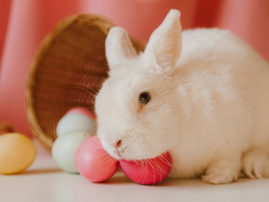 Iza uskrsnih simbola: Šta kriju jaja i zec?