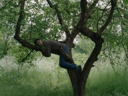 Izbor nagrađenih filmova sa 31. SFF-a u kinu Meeting Point