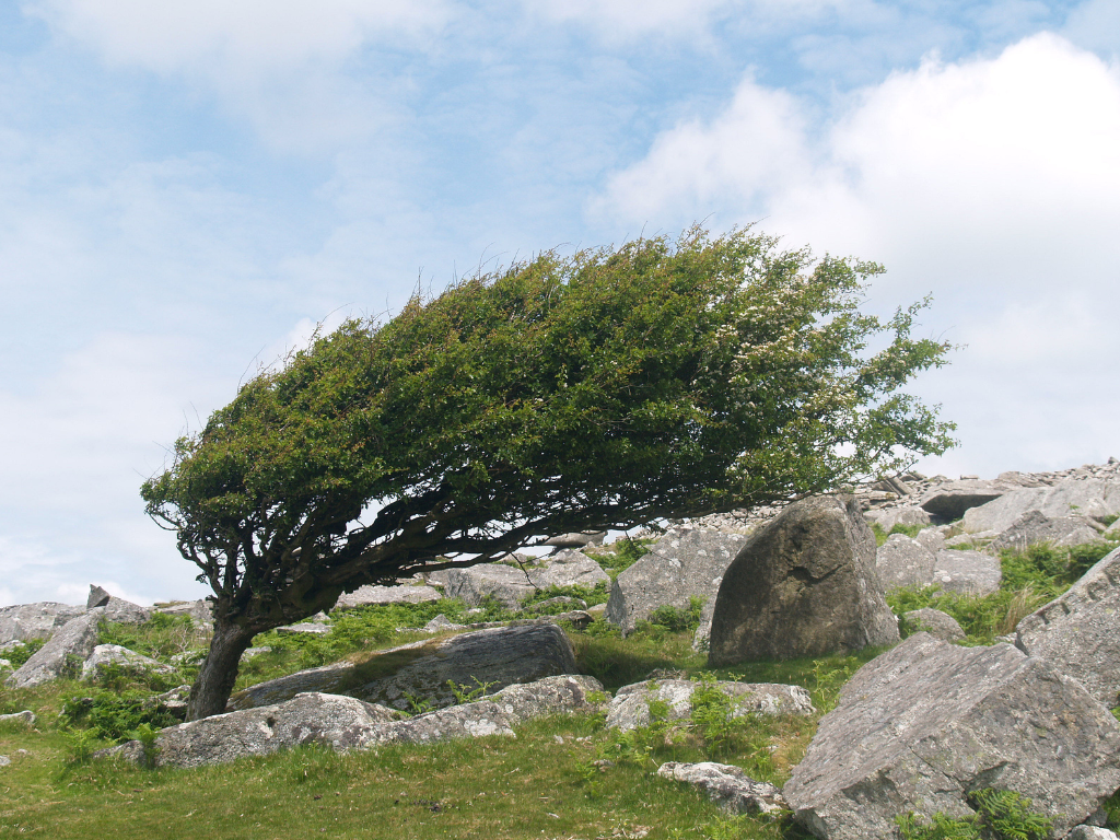 Izdato narandžasto upozorenje za naredna dva dana zbog udara vjetra