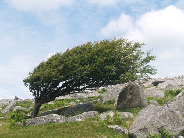 Izdato narandžasto upozorenje za naredna dva dana zbog udara vjetra