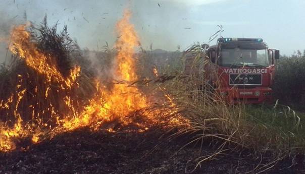 Izgorjelo 10 hektara Parka prirode Hutovo blato