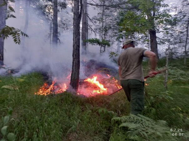 Izgorjelo 14 hektara šume na lokalitetu Katuništa kod Teslića