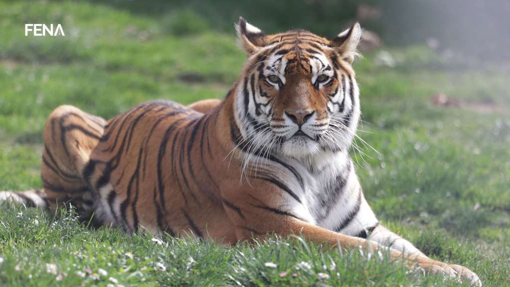 Izgradnja zimovnika u Pionirskoj dolini donijet će višestruku korist