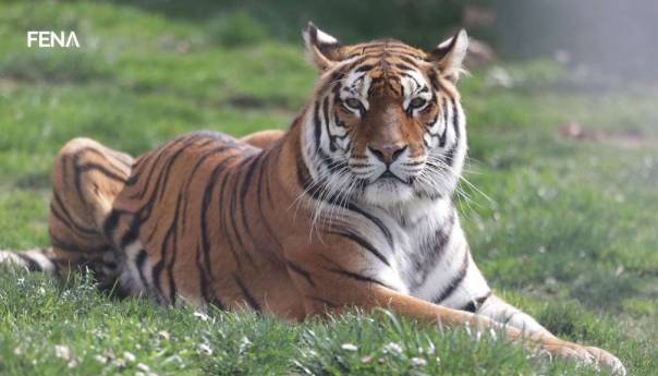 Izgradnja zimovnika u Pionirskoj dolini donijet će višestruku korist