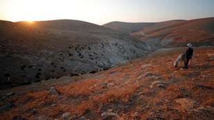Izrael pravi sedam prirodnih rezervata na okupiranoj Zapadnoj obali