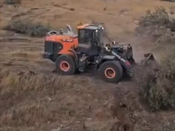 Izraelski buldožeri bez milosti sravnili sa zemljom na stotine palestinskih stabala