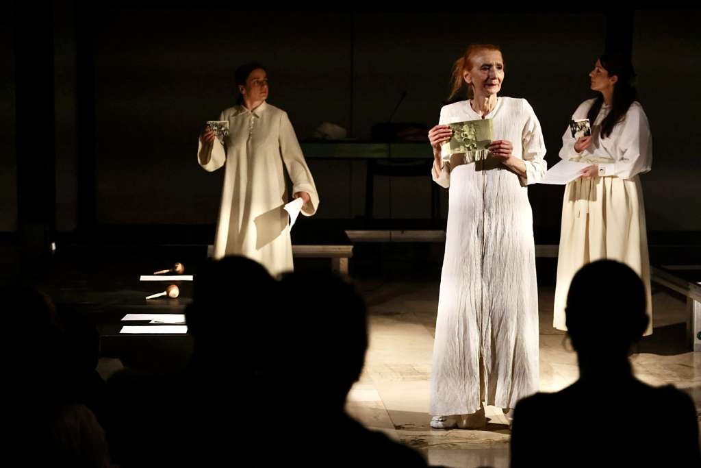 Izveden performans "DNK, BROJ" autorice i glumice Emine Minke Muftić