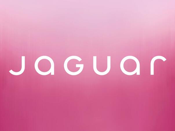 Jaguarov kontroverzni rebranding, futuristički modeli umjesto automobila