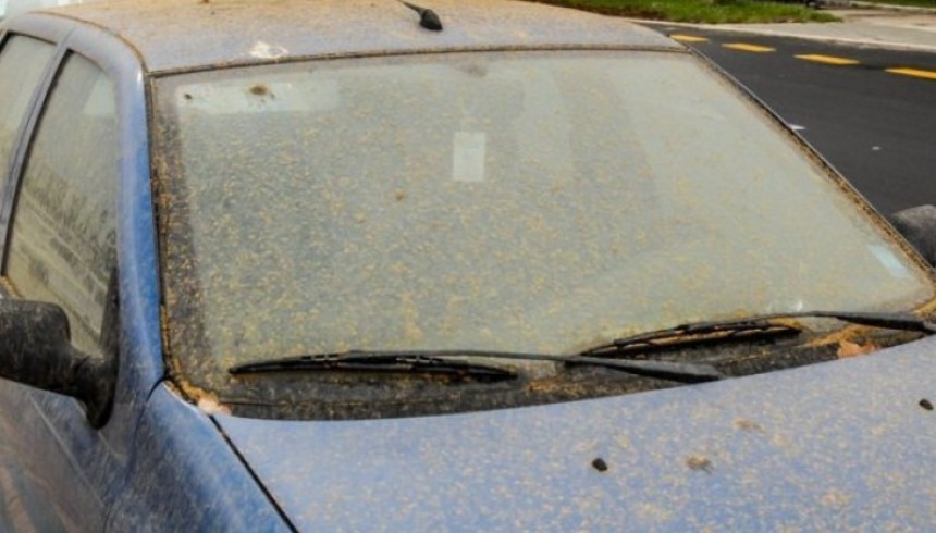 Jak i topao vjetar donio 180.000 tona pijeska u Evropu