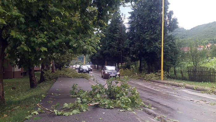 Jako nevrijeme pogodilo šire područje Vlasenice, vjetar rušio stabla
