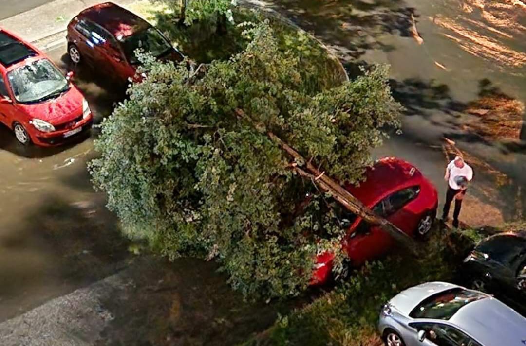 Jako nevrijeme u Tuzli, stabla padala na automobile