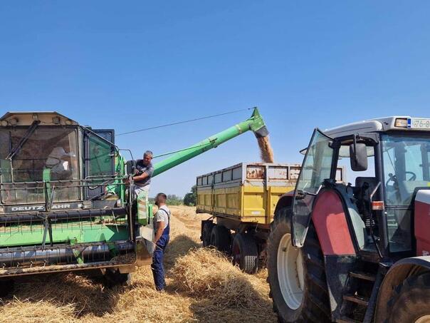 Janja zadovoljna prinosom pšenice: Nekada donacija, danas povezuje džematlije