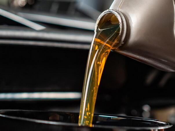 Japan testira gorivo budućnosti na bazi biljaka