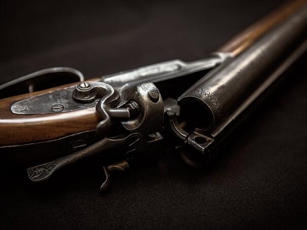 Javni funkcioneri Crne Gore prijavili 1.709 komada oružja