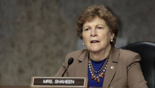 JEANE SHAHEEN - DIJAGNOZA STANJA U BiH