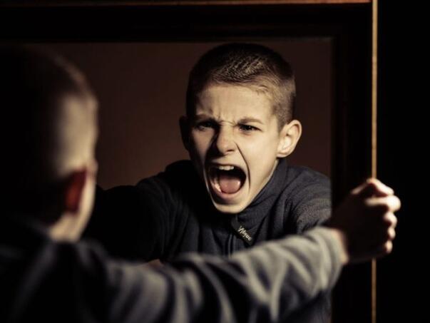 Jedan dodatak prehrani smanjuje agresiju, znate li u kojoj hrani ga ima najviše?