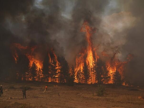 Jedan od najvećih požara guta Tursku: Na terenu 20 helikoptera i 2.000 vatrogasaca