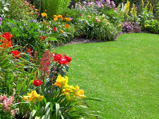 Jedan začin iz kuhinje pretvara travnjak u zelenu oazu