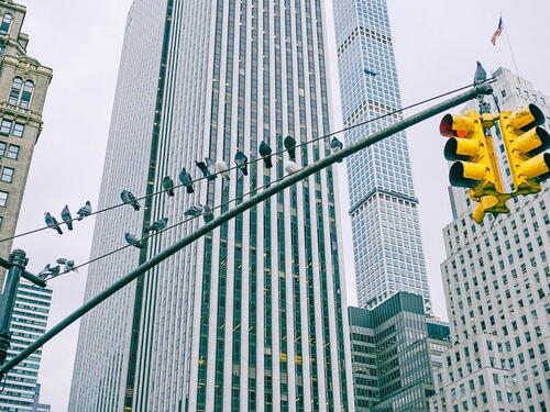 Jedna od najluksuznijih stambenih zgrada na svijetu se raspada