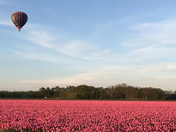 Jedna osoba poginula, pet povrijeđenih u padu balona na vrući zrak u Nizozemskoj