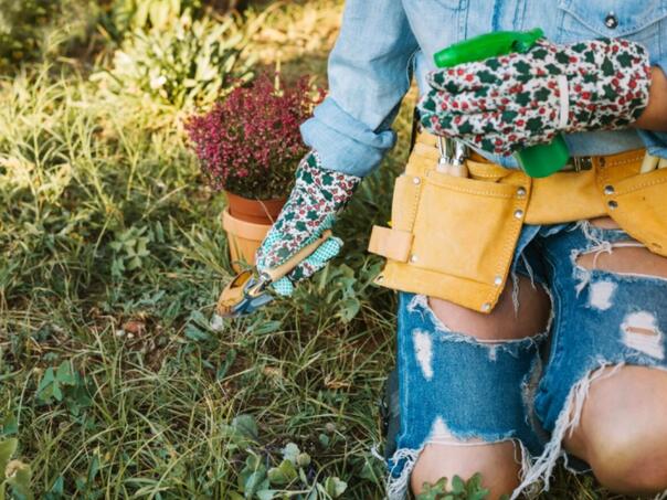 Jednu stvar uklonite iz bašte, prenosi zarazu