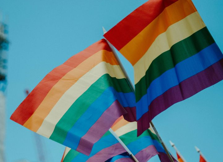 Još jedna zemlja odlučila kažnjavati LGBT aktiviste