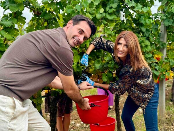 Još ne radi sistem registracije: Privreda FBiH u blokadi!