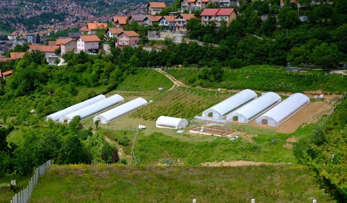 JP "Lokom" udvostručio proizvodnju organske hrane